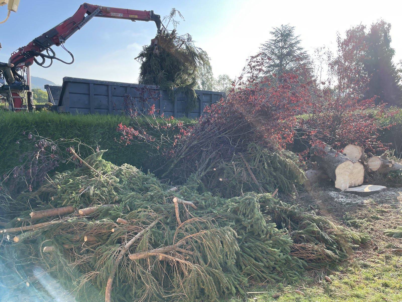 Camion-grue chargeant des branches coupées après un abattage